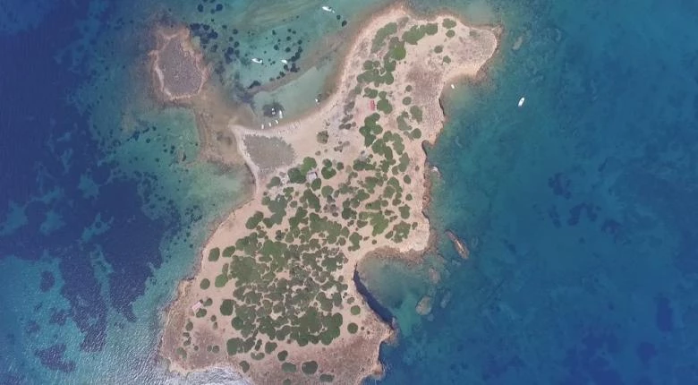 Το νησί της Αττικής που ανήκει σε βιοπαλαιστή οδηγό λεωφορείου (βίντεο)